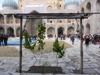 Scher-Dor-Medresse, Samarkand