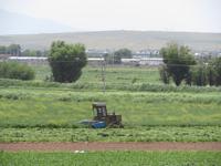 Überbleibsel aus der DDR