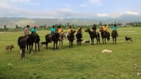 0915-Kirgisische Reiterspiele-Mannschaften vor dem Wettkampf
