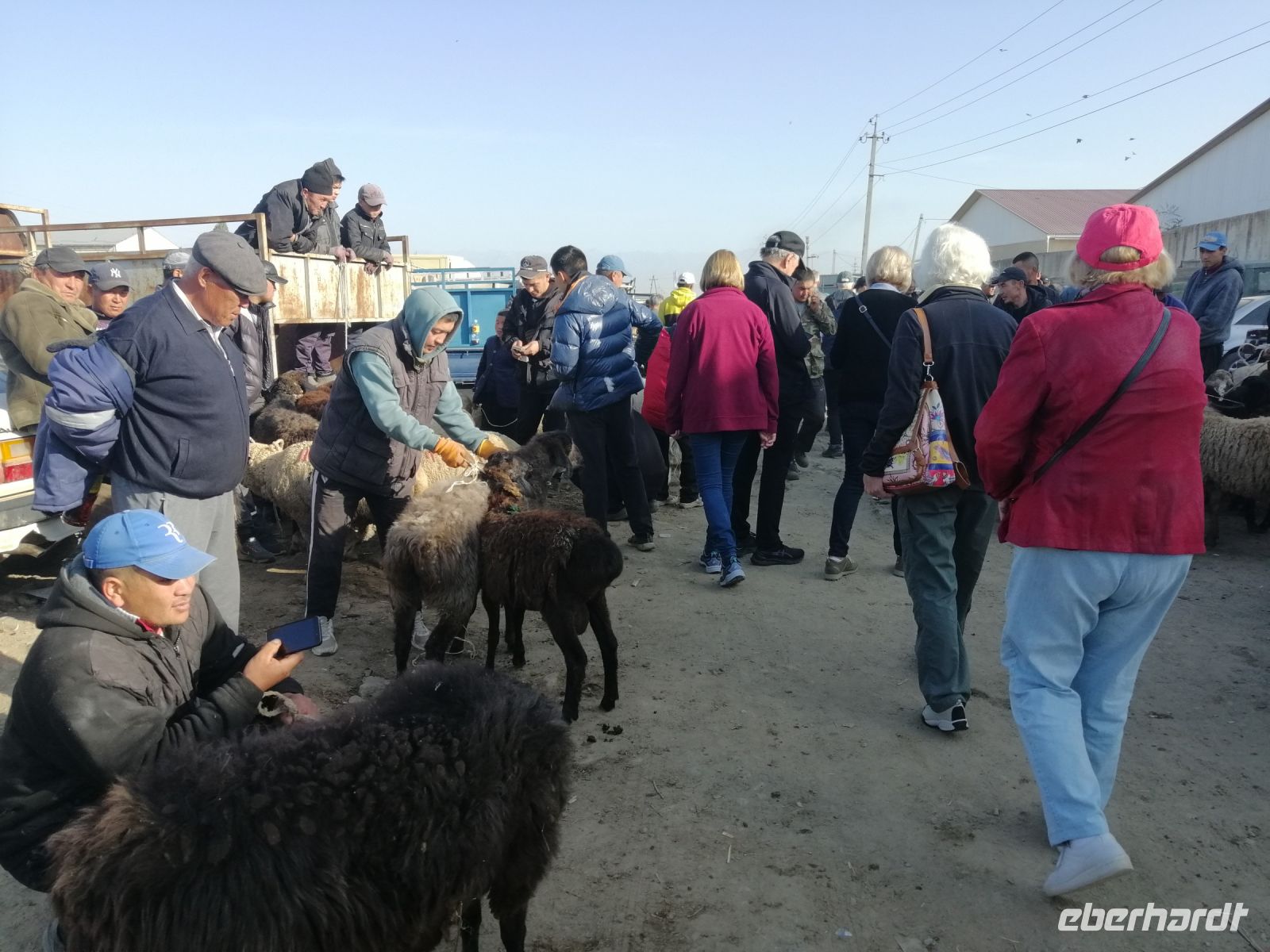 auf dem Viehmarkt in Karakol