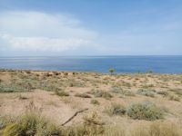 am Issyk-Kul See