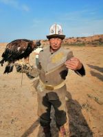 Vorführung der echten Jagd mit den Greifvögeln