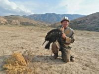 Berkuttsch mit dem Greifvogel