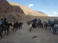 Nomaden treiben gerade eine Pferdeherde über die Brücke: wir mussten kurz warten