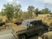 Geschehen auf der Bundesstraße bei Naryn