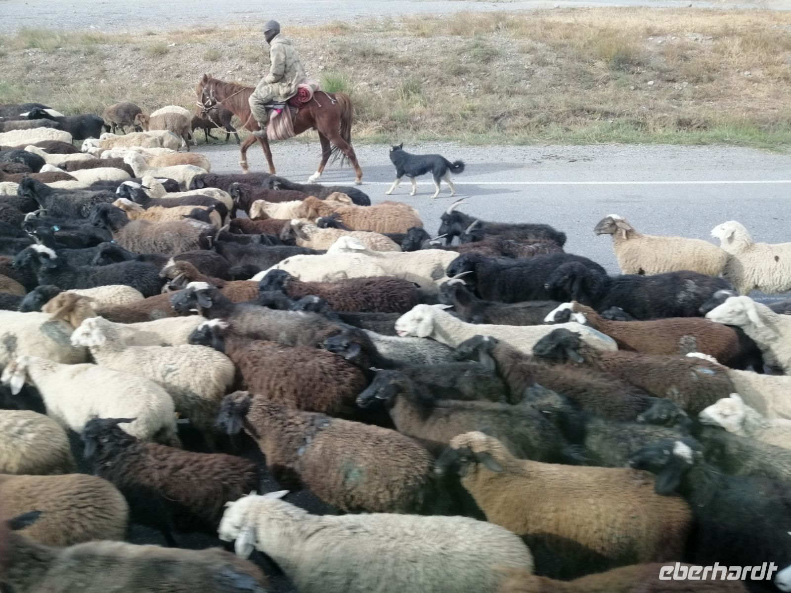 Nomaden begleiten ihre Schafherden manchmal entlang der Bundesstraße