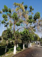 Stadtrundgang durch Taraz