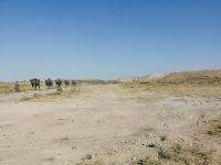 Besichtigung des Freilichtmuseums Otrar