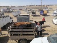 Impressionen aus dem Reisebus auf dem Weg von Samarkand nach Schachrisabs