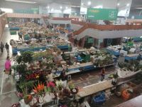 Stadtrundgang durch Almaty: der Grüner Markt