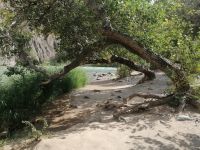 Wanderung im Charyn-Canyon: am Fluss Charyn