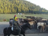 Ankunft in Kirgistan