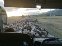 Ankunft in Kirgistan