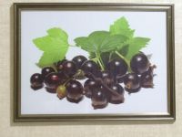 Hotel Karagat - schwarze Johannisbeere