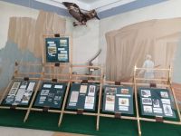 Im Przewalski-Museum in Karakol