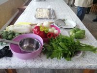 zu Besuch bei Dunganen zum Abendessen, Dorf Irdyk