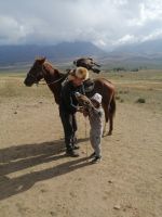 Vorführung der Greifvögel-Jagd: die Berkuttschi