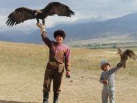 Vorführung der Greifvögel-Jagd: die Berkuttschi