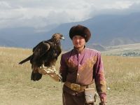 Vorführung der Greifvögel-Jagd: die Berkuttschi