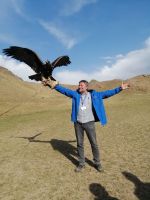 Vorführung der Greifvögel-Jagd: die Berkuttschi