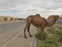 Besichtigung der alten Wissenschafts- und Geisterstadt Otrar