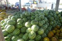 Melonenmarkt Usbekistan