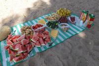 Picknick am Issyk-Kul See