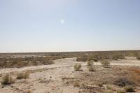 die Wüste Quizil-Qum