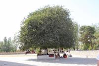 Souvenirhändler am Ak Saray