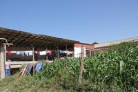 bei einer hiesigen Bauernfamilie