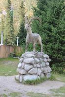 im Ala Artscha Nationalpark