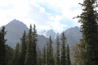 im Ala Artscha Nationalpark