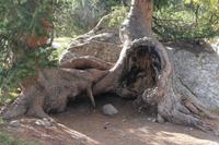 im Ala Artscha Nationalpark