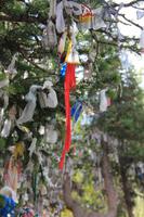 im Ala Artscha Nationalpark