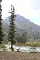 im Ala Artscha Nationalpark