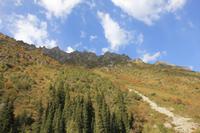 im Ala Artscha Nationalpark