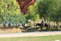 in der Schlucht Sheti Oguz