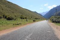 in der Schlucht Sheti Oguz