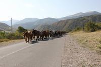 in der Turgen-Schlucht