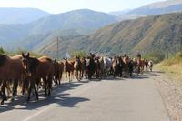 in der Turgen-Schlucht