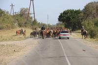 in der Turgen-Schlucht