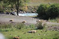 in der Turgen-Schlucht