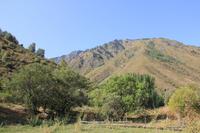 in der Turgen-Schlucht