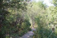 in der Turgen-Schlucht