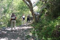 in der Turgen-Schlucht