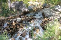 in der Turgen-Schlucht