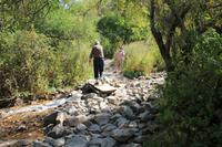 in der Turgen-Schlucht