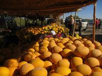 Fahrt nach Buchara - am Melonenmarkt