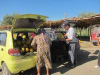 Fahrt nach Buchara - am Melonenmarkt