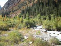 im Ala Artscha Naturpark